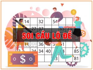 Soi Cầu Lô - Cách tốt nhất để tìm kiếm số đẹp chơi lô đề